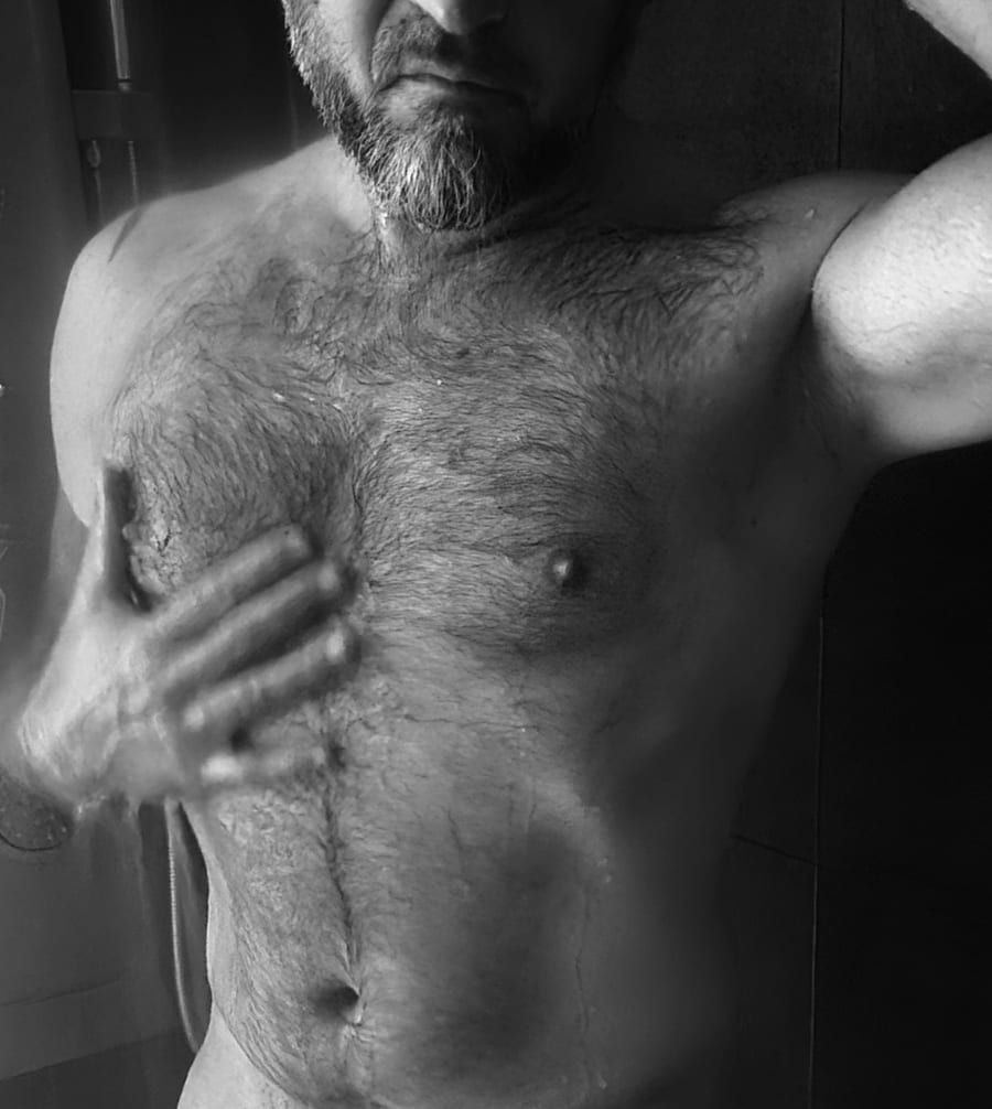 Profil von Thibo